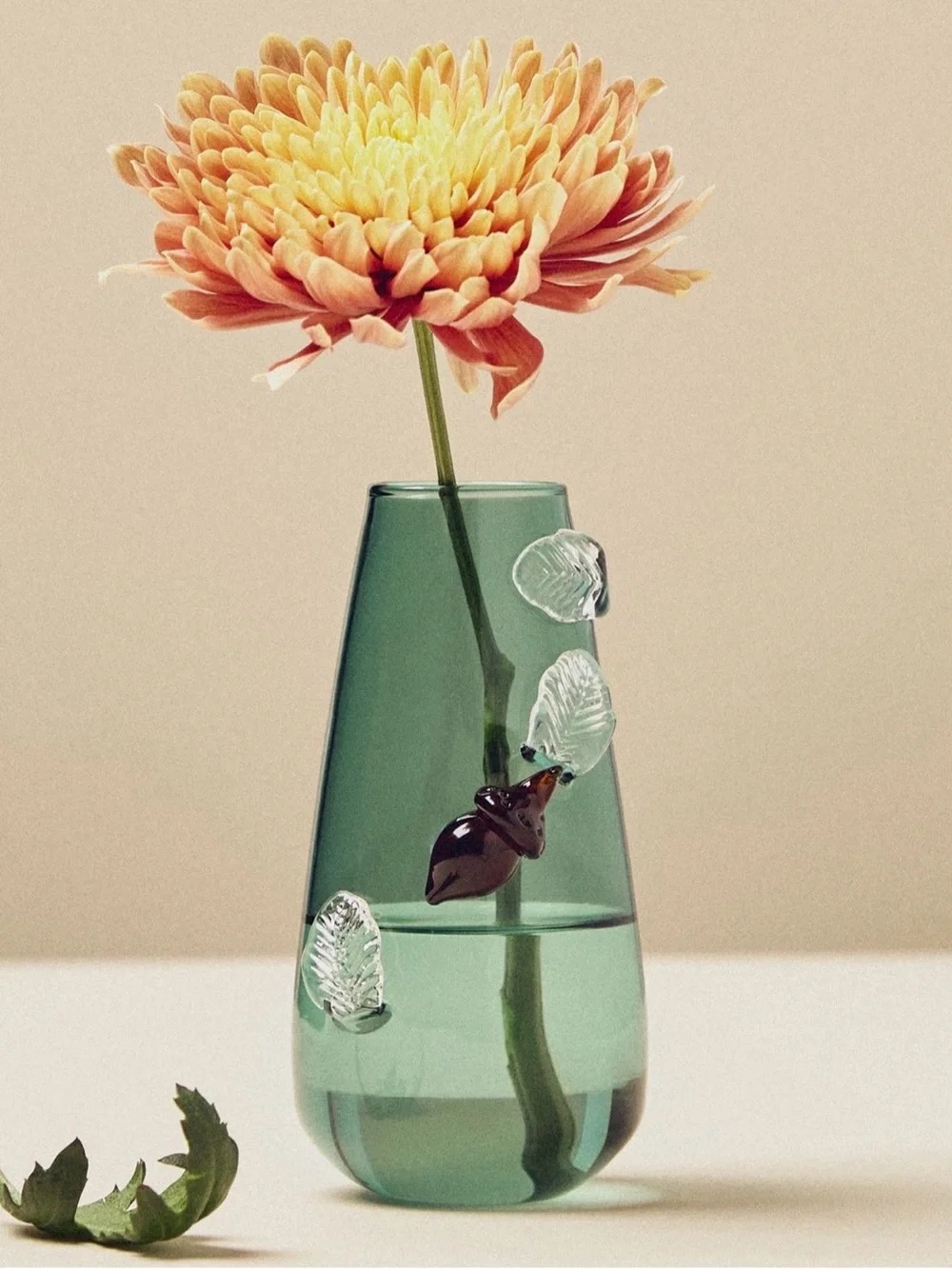 Anthropologie never used